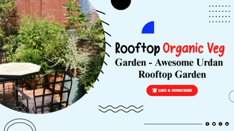 Plantilla de diseño de miniatura para publicación de canal de YouTube sobre jardinería doméstica