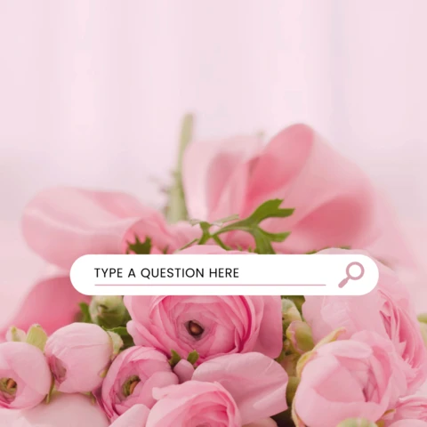 Search Button Minimalist Cute Instagram Post Design Template