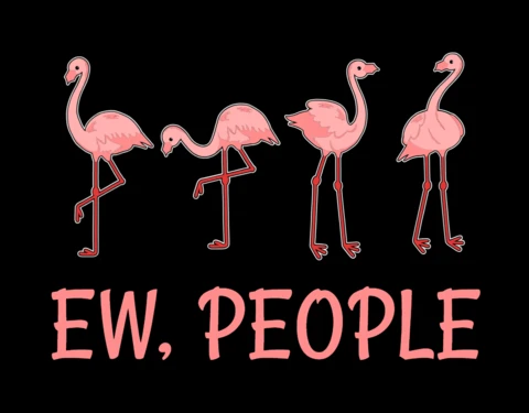Flamingos Hate People T-shirt Design Template