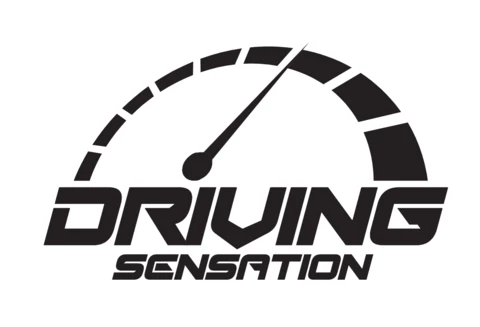 Speed Car Driving Logo Design Template