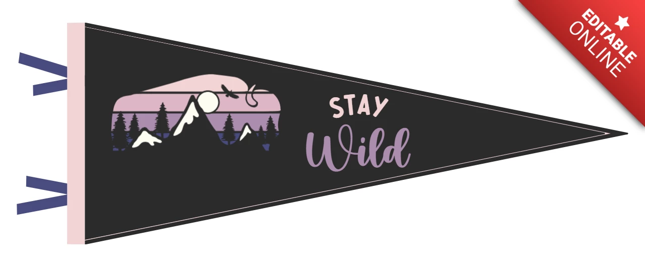 Дизайн футболки с вымпелом "Stay wild bison