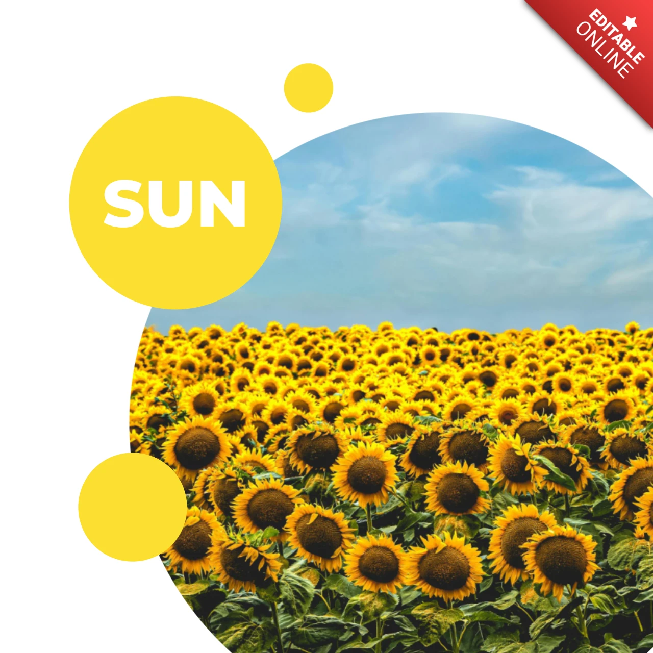 Plantilla girasol para instagram