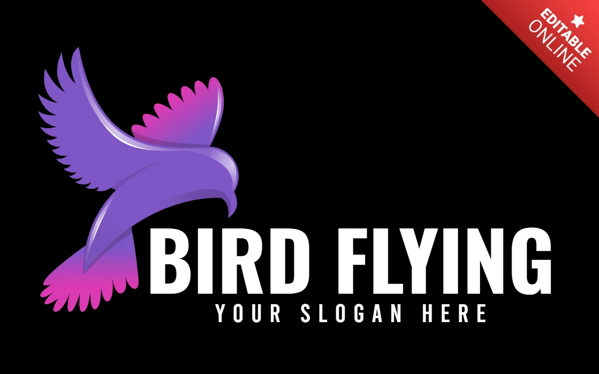 Bunte fliegende Vogel-Logo-Design-Vorlage