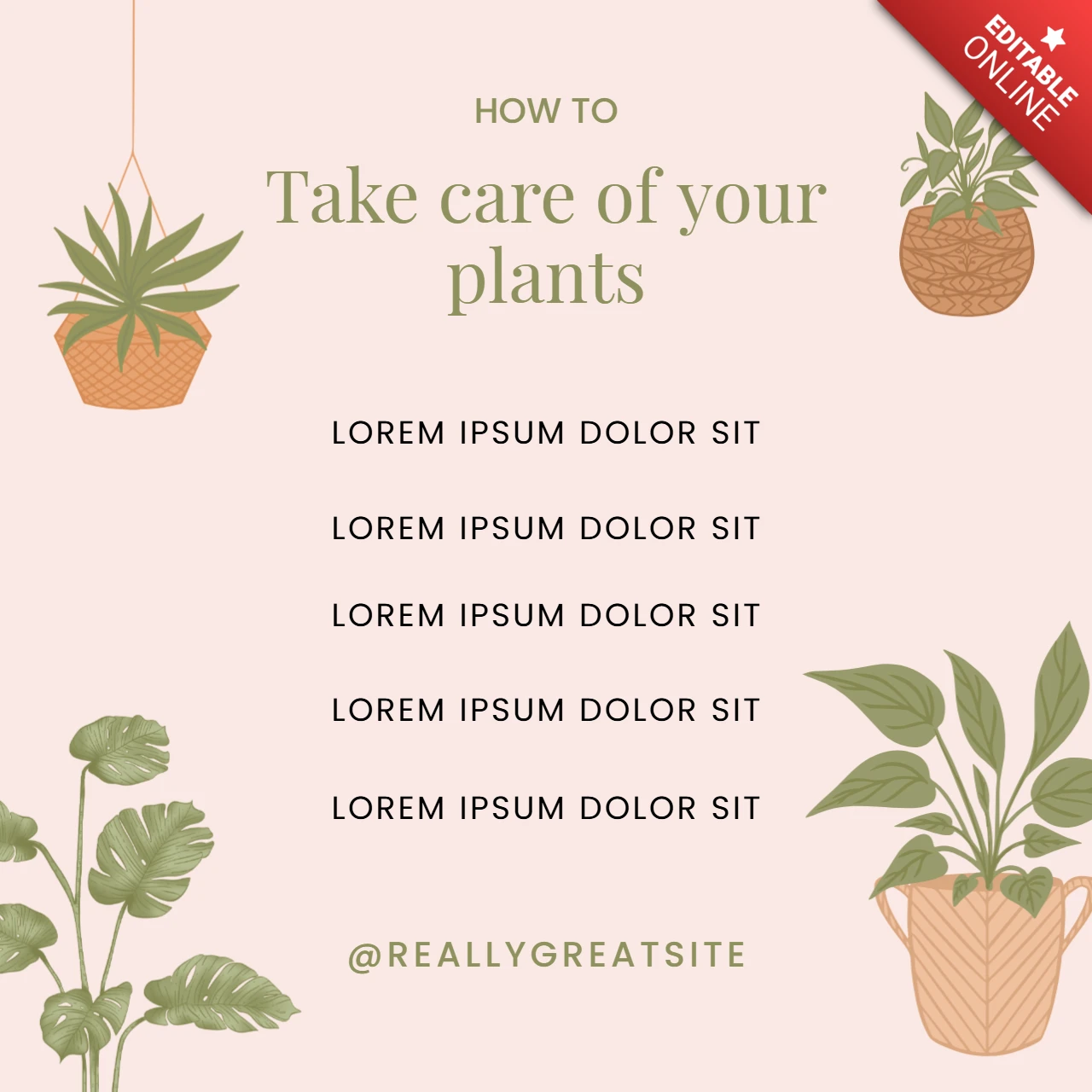 Plant Care Checklist Tips Instagram Post Design Template