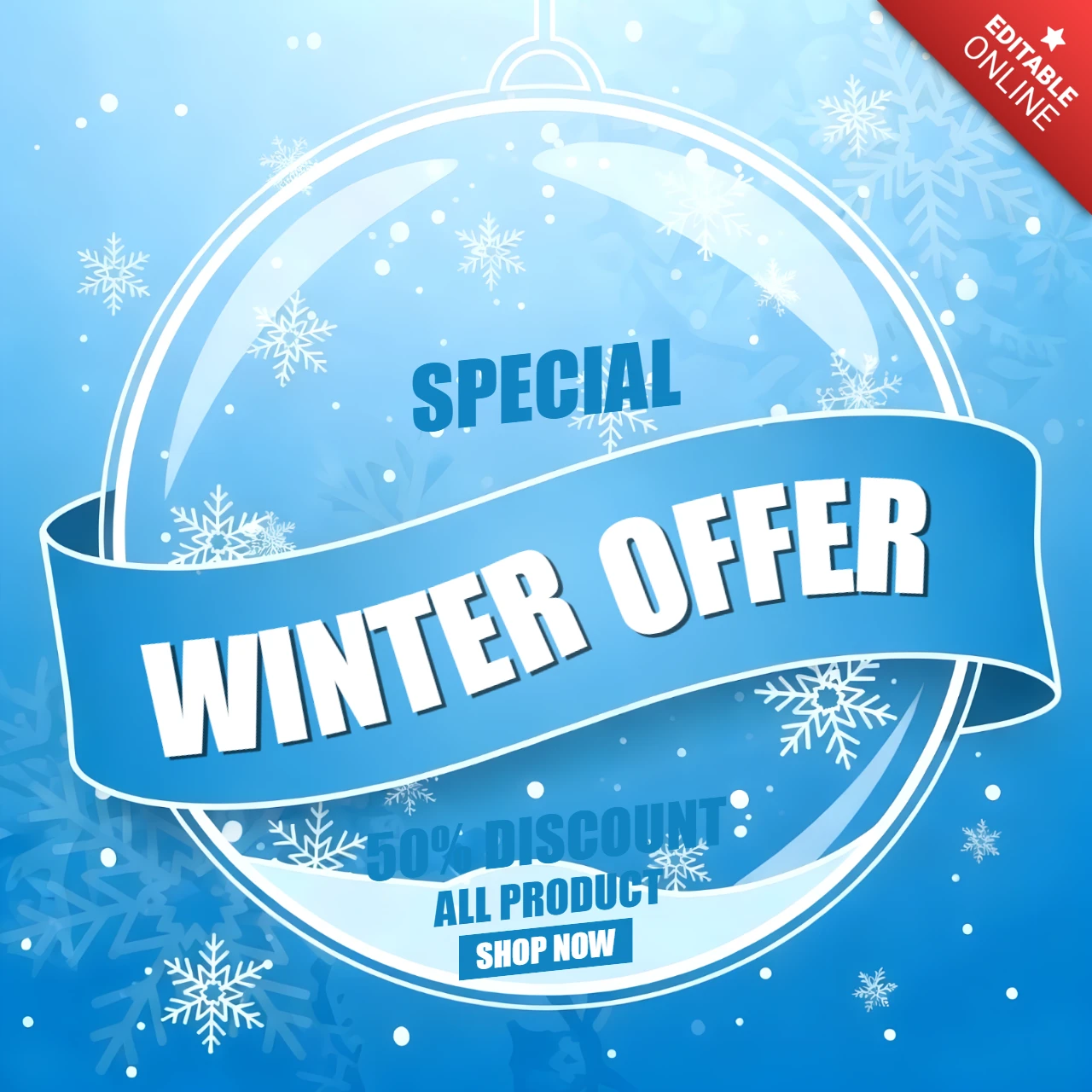 Winter Offer Design Template with Snowflake Elements for Promotional Flyers