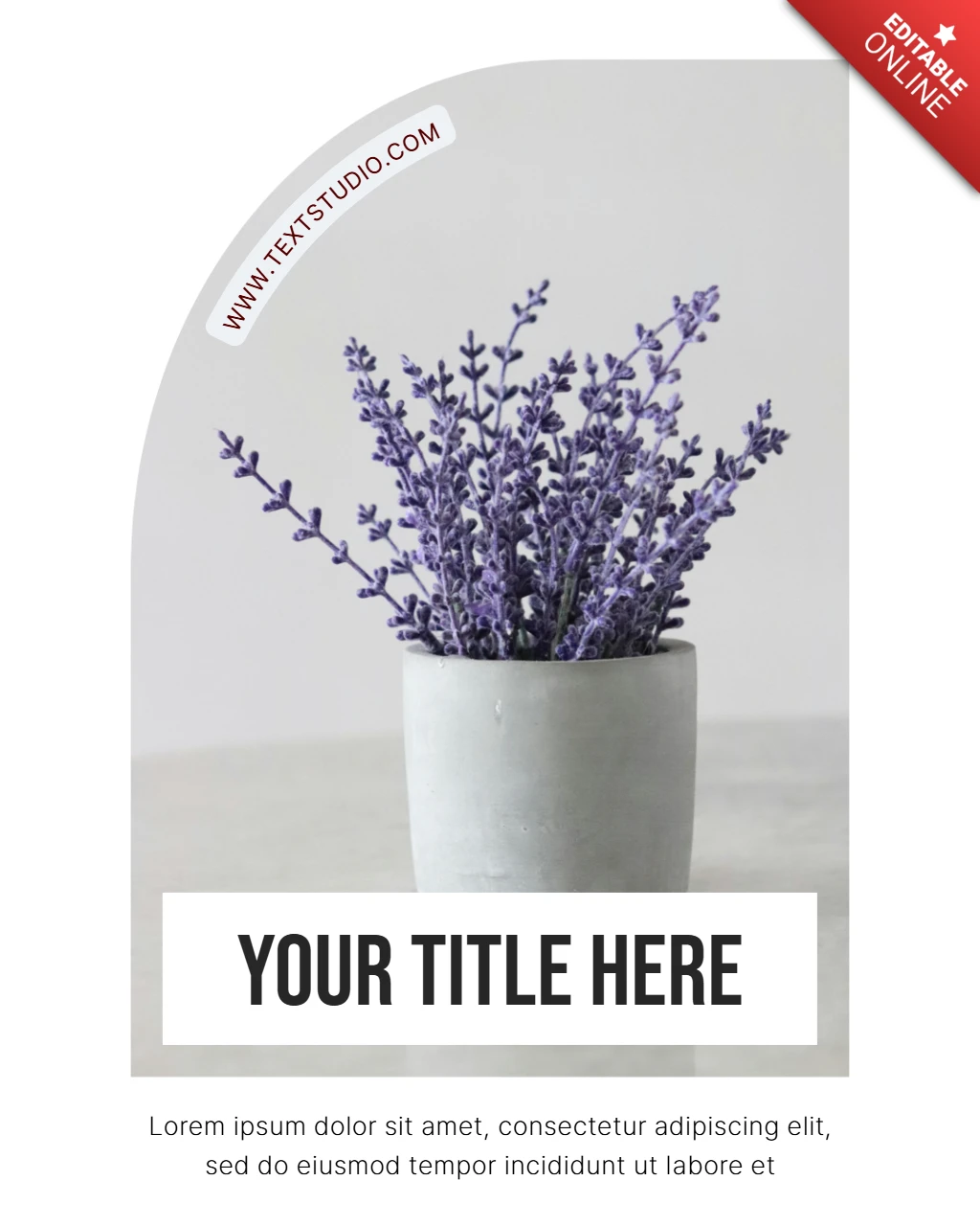 Lavendel pflanze ästhetisch instagram post design vorlage