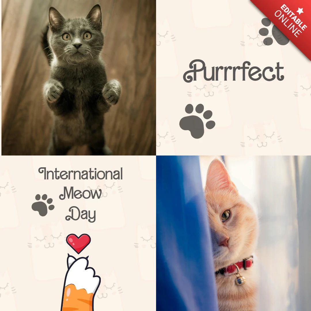 Plantilla de post de instagram collage del día internacional del gato