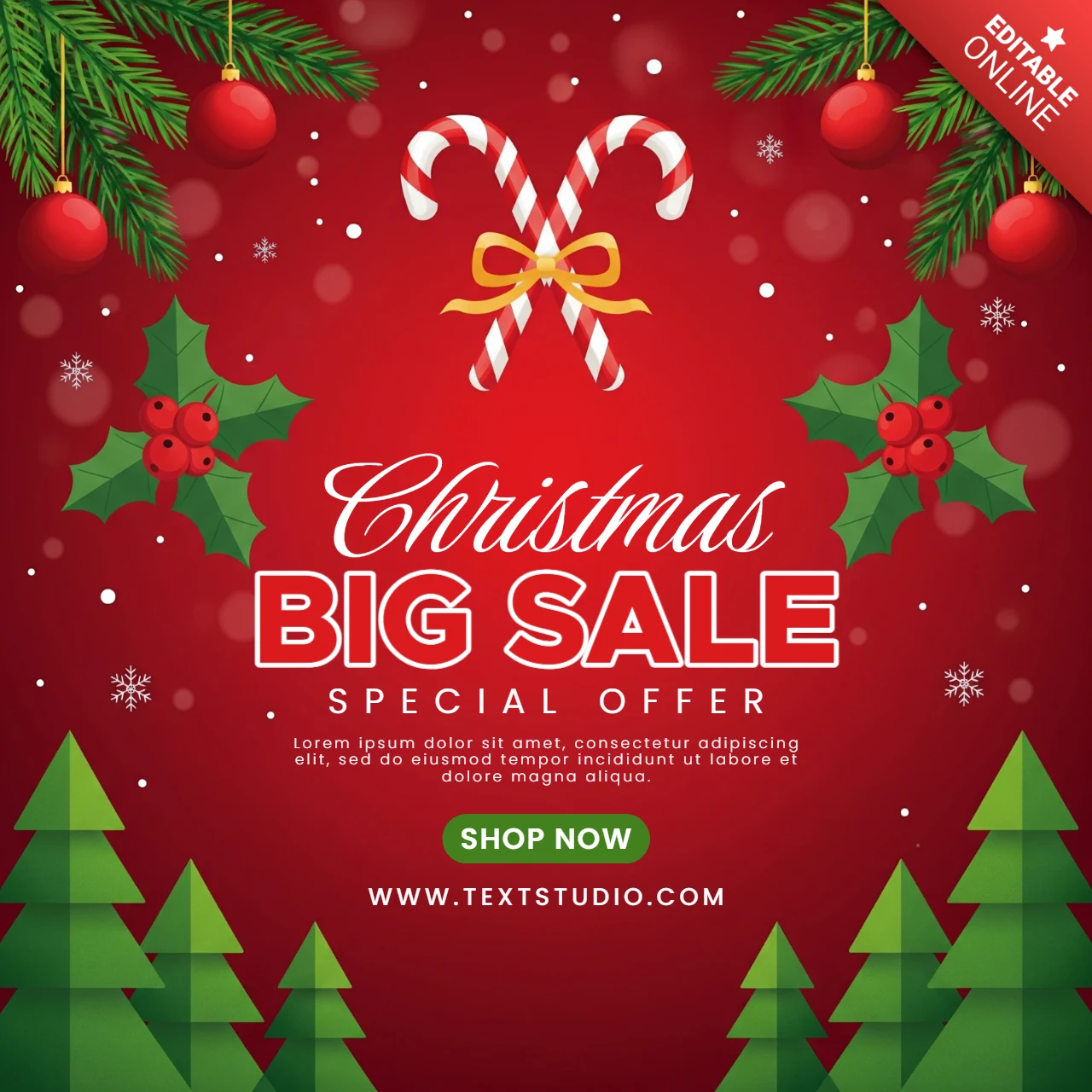 Pôster de marketing de Natal design de venda temática de feriado com acentos em vermelho e verde e brilho festivo.