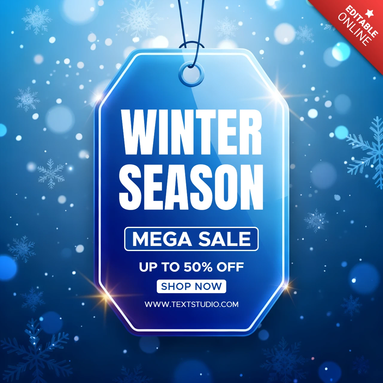 Modèle de design de vente de saison hivernale avec des flocons de neige pour des étiquettes promotionnelles