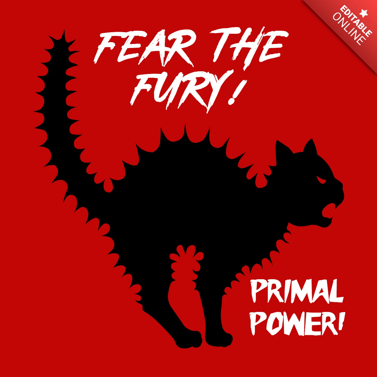 Black Cat Design Template: Fear the Fury Graphic Art