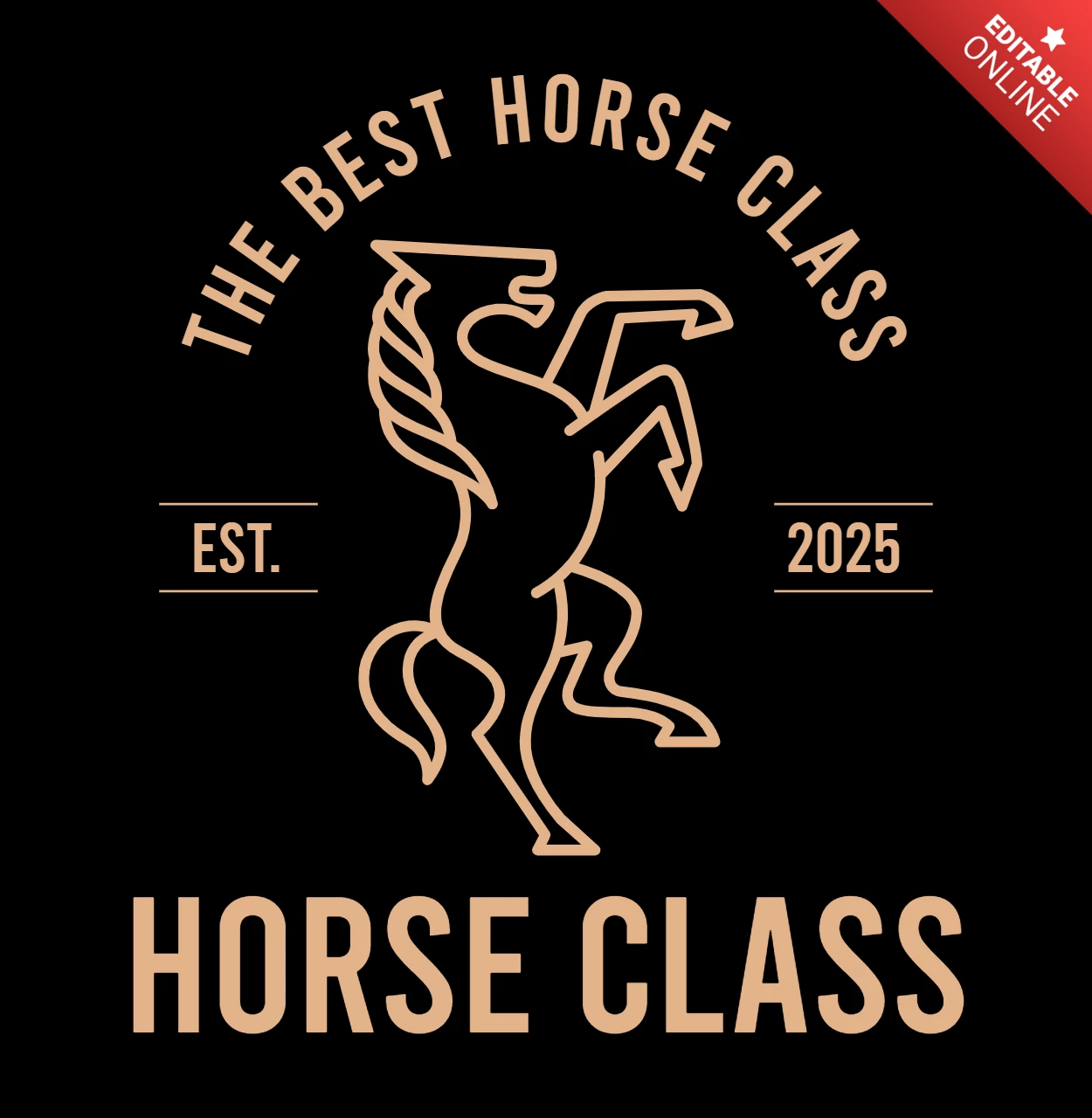 Horse Class Logo Design Template