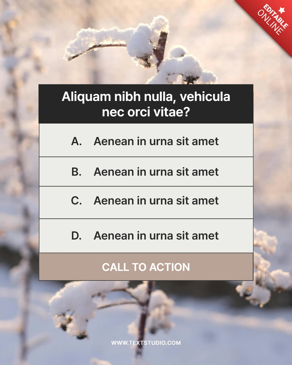Winter Nature Quiz Instagram Post Design Template