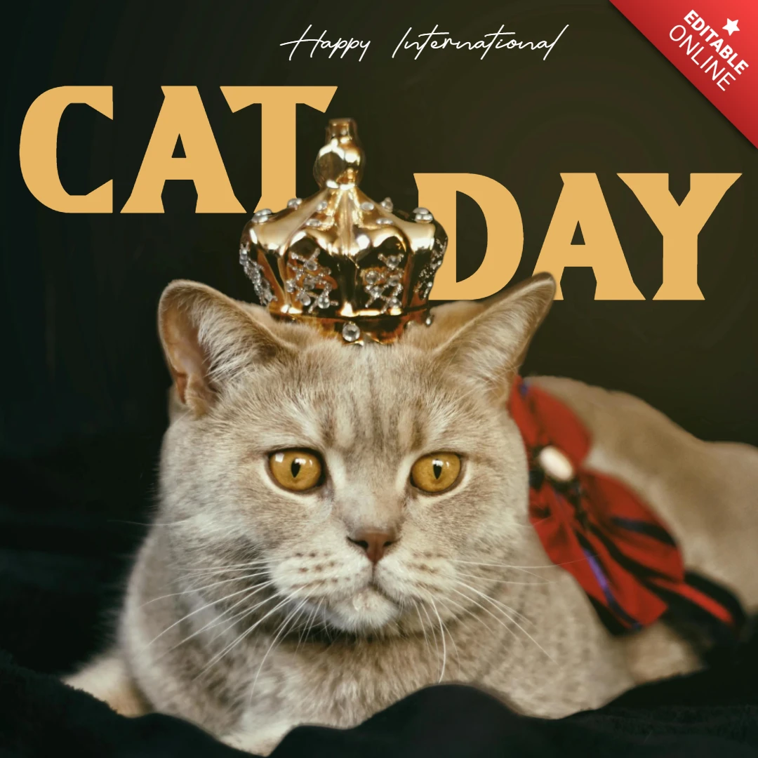 Happy international cat day royal instagram post design