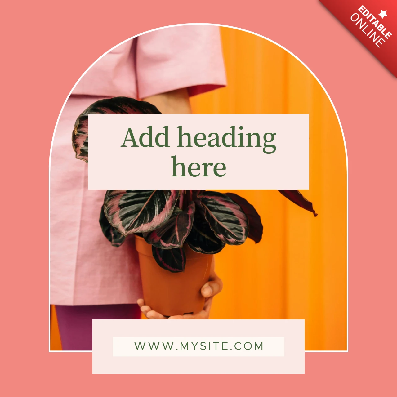 Plante esthétique rose et orange modèle de conception de post instagram