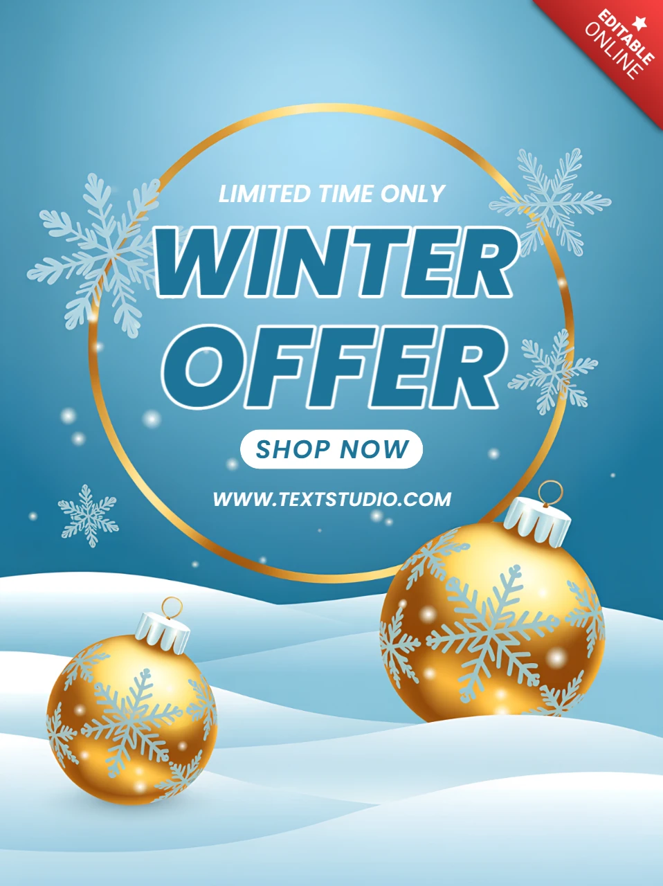 Winter-Angebot Designvorlage mit Schneeflocken und Ornamenten für Werbeflyer