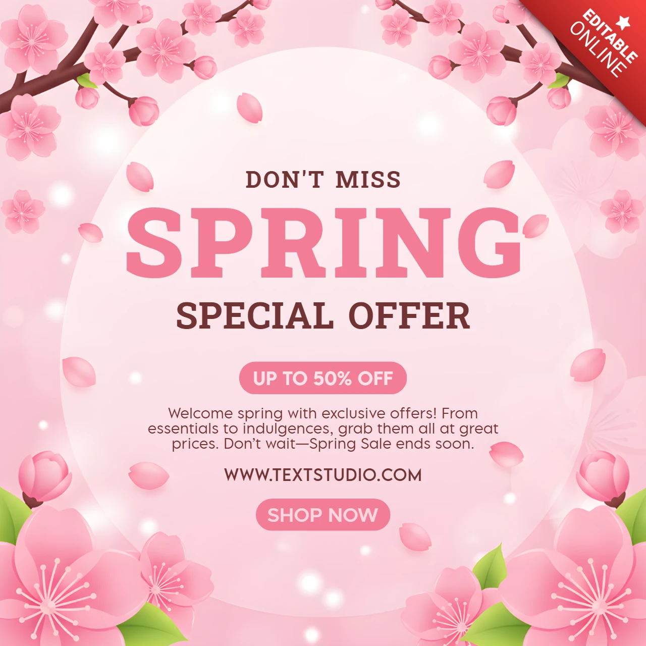 Modèle de bannière de vente printanière festive avec des fleurs, des pétales et un message promotionnel