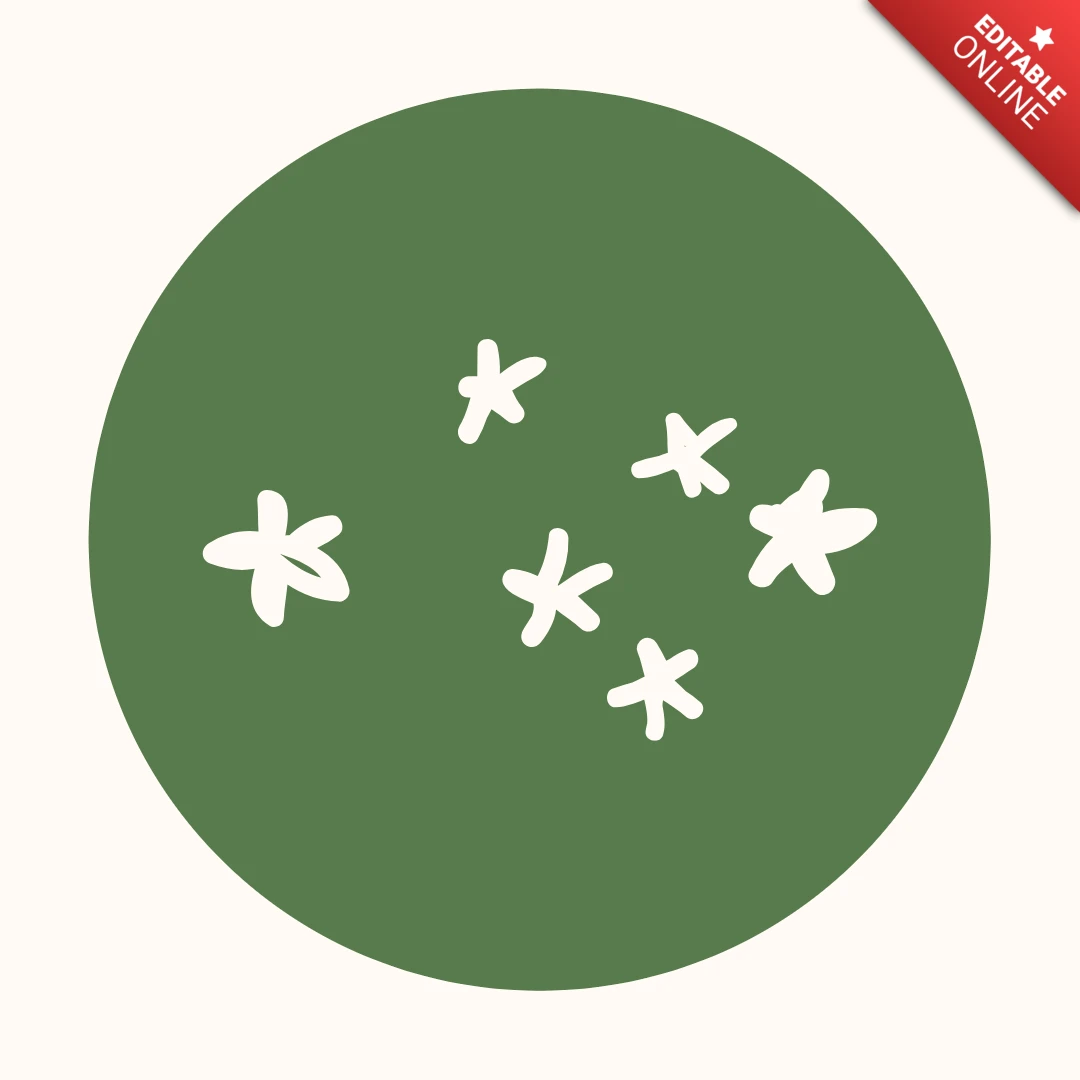 Sparkle Icon Instagram Story Highlight Cover Design Template
