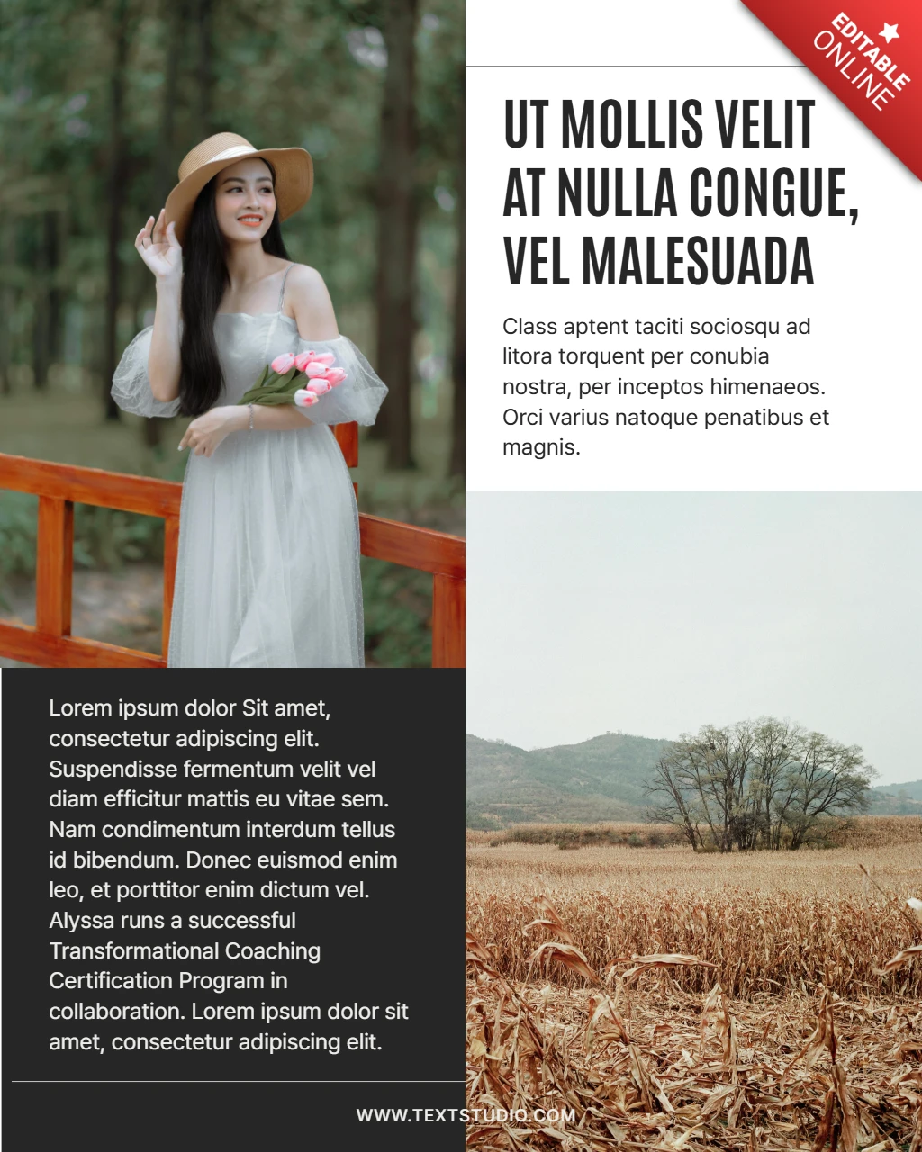 Lifestyle and Nature Inspiration Instagram Post Design Template