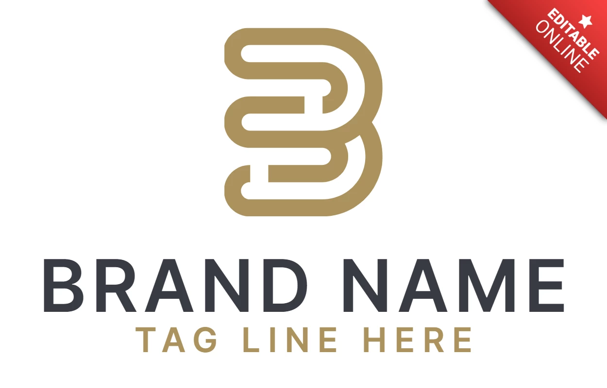 Letter BS Company Logo Design Template