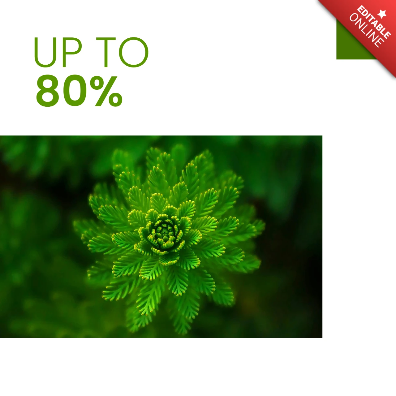 80% off Plant Sale Instagram Social Media Post Design Template