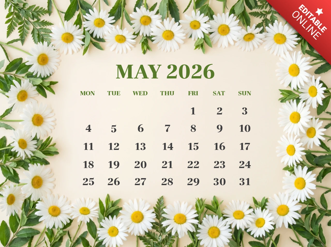 Affiche du calendrier de mai 2026 - design printanier frais avec des marguerites blanches et des feuilles vertes