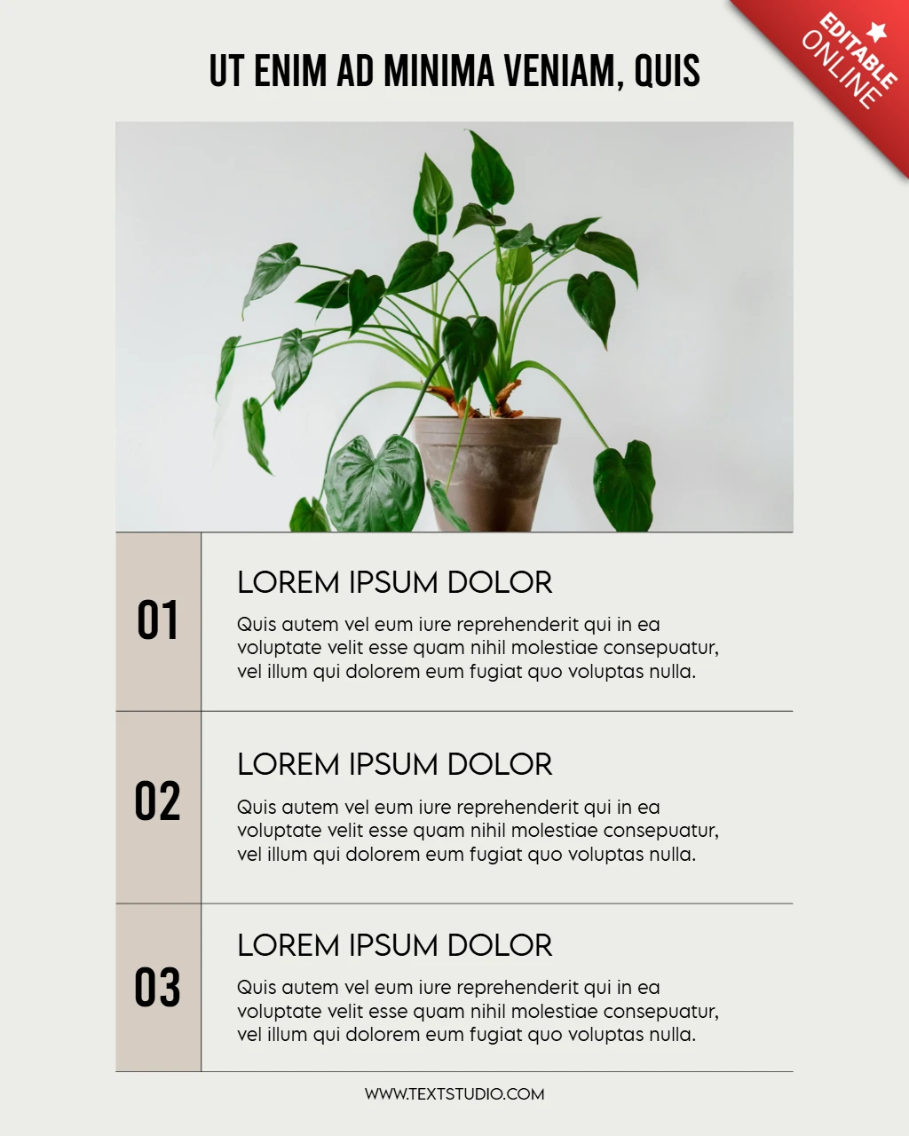 Etapas de cuidados com a planta Modelo de design de postagem do Instagram