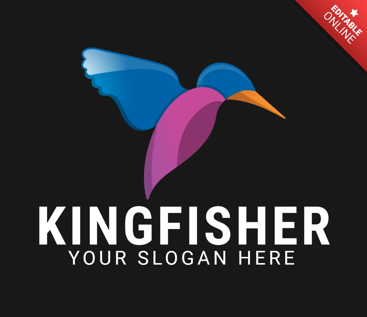 Modèle de conception de logo d'oiseau coloré Kingfisher