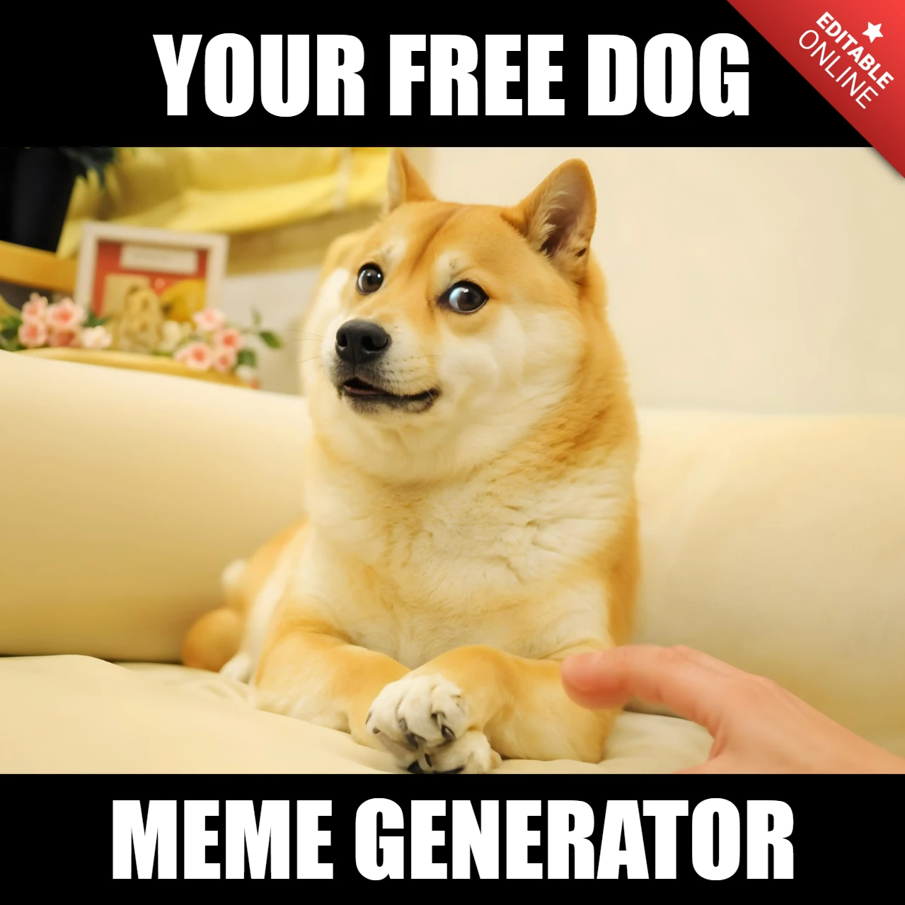 Create Hilarious Dog Memes: Free Online Meme Generator Template